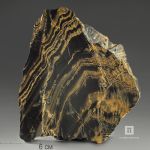 Строматолиты Gaia irkuskanica из Бакала