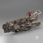гранат (альмандин) в метаморфическом сланце